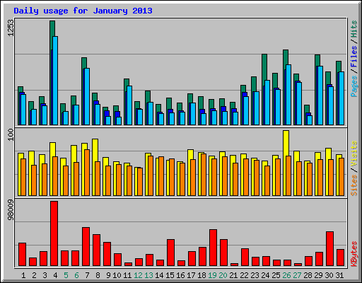 Daily usage for January 2013