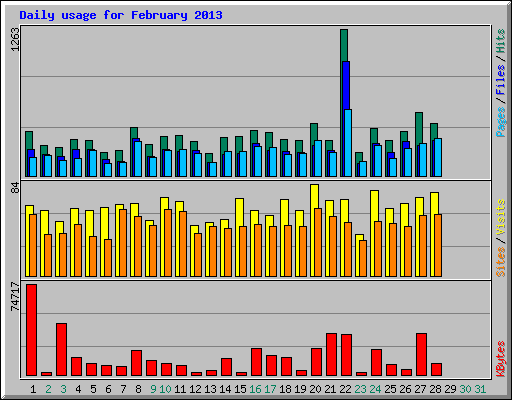 Daily usage for February 2013