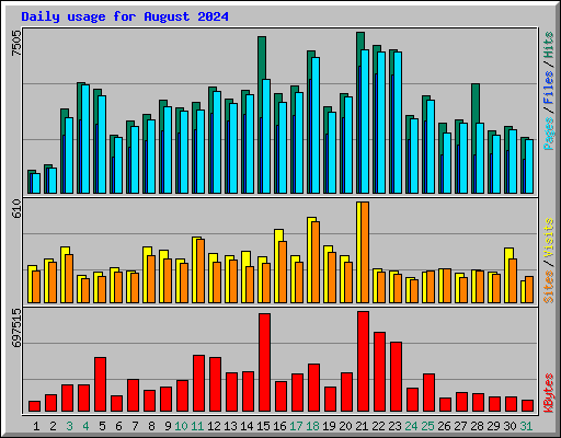 Daily usage for August 2024