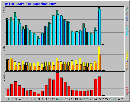 Daily usage for December 2024