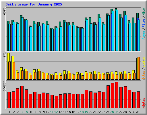 Daily usage for January 2025