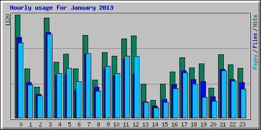 Hourly usage for January 2013