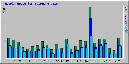 Hourly usage for February 2013