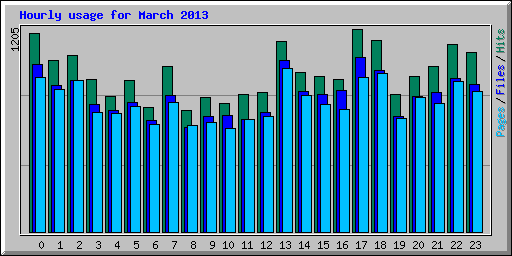 Hourly usage for March 2013