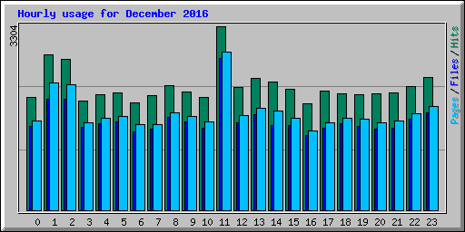 Hourly usage for December 2016