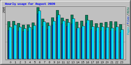 Hourly usage for August 2020