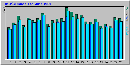 Hourly usage for June 2021