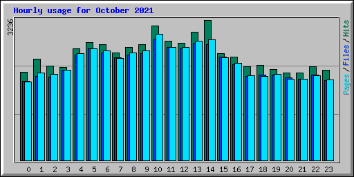 Hourly usage for October 2021