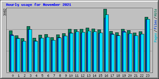 Hourly usage for November 2021