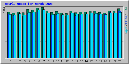 Hourly usage for March 2023