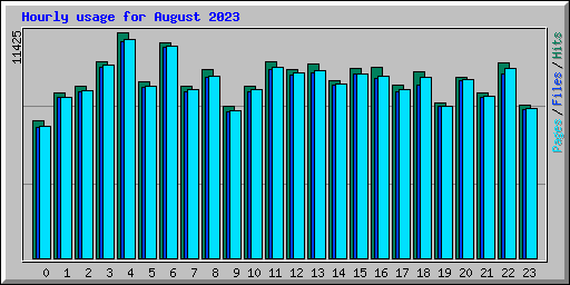 Hourly usage for August 2023