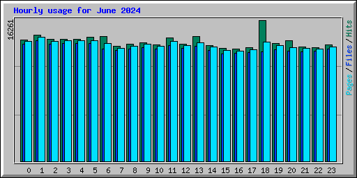 Hourly usage for June 2024