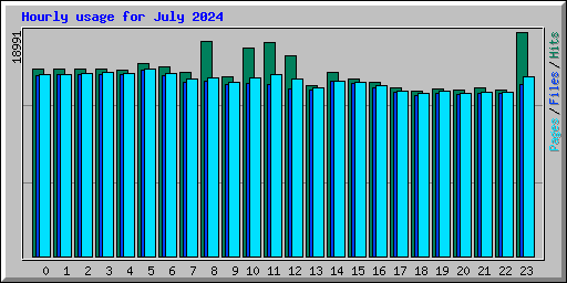 Hourly usage for July 2024