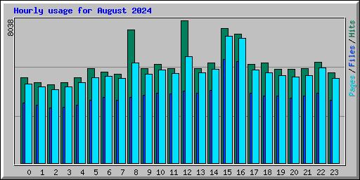 Hourly usage for August 2024