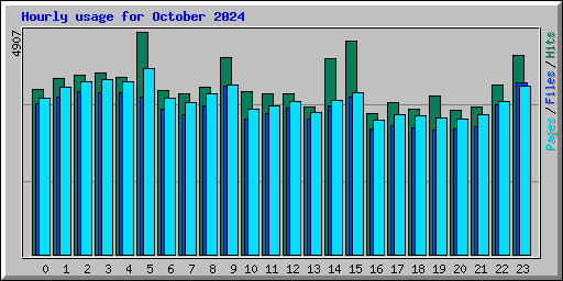 Hourly usage for October 2024