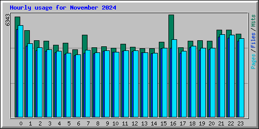 Hourly usage for November 2024