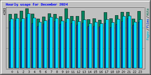 Hourly usage for December 2024