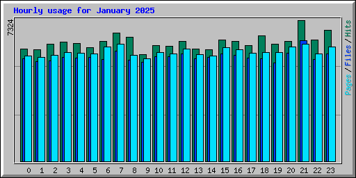 Hourly usage for January 2025