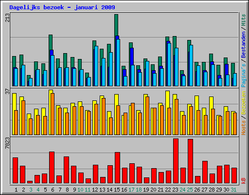 Dagelijks bezoek - januari 2009